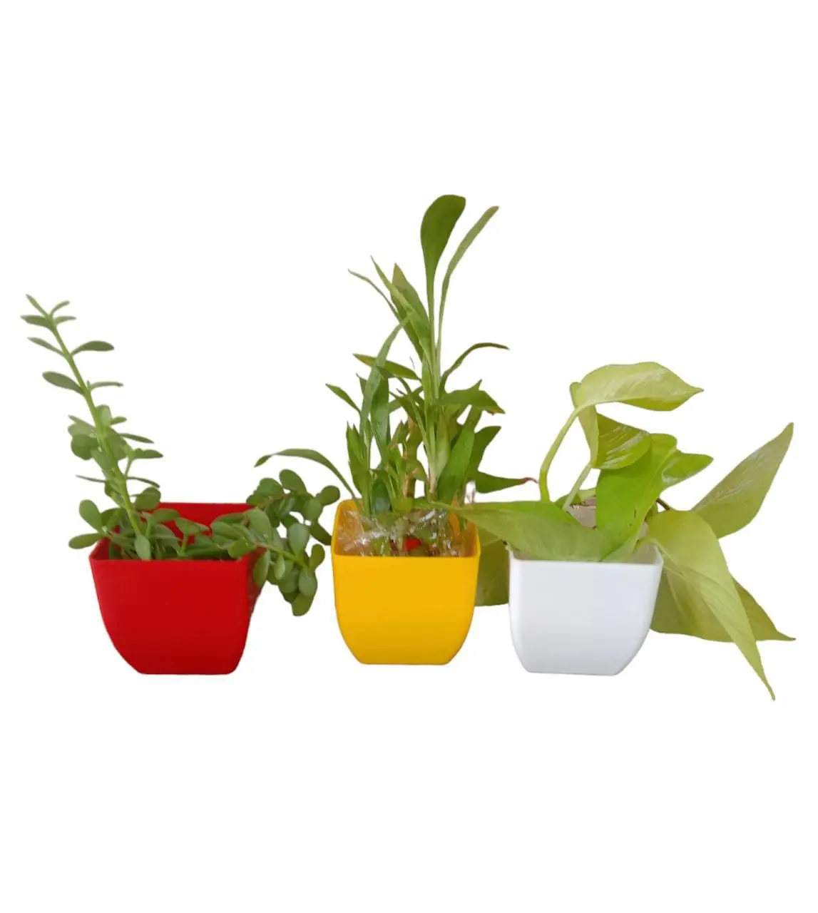 4 Plastic flowerpots (pack of 3) square - Image 2